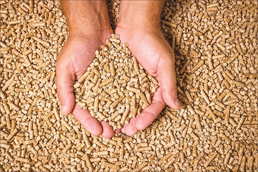 comment-choisir-son-pellet
